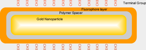 Functionalized Nanorod Block Invitro